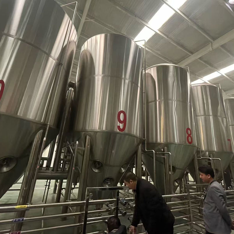乐平精酿啤酒设备